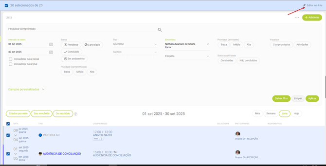 Imagem 02 - Responsável em lote