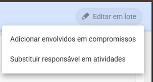 Imagem 03 - Responsável em lote